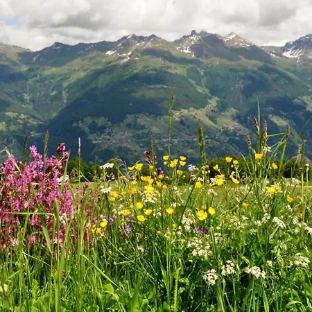 In Veysonnaz Near Lift Lägenhet Agettes